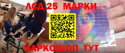 гашик Кандалакша