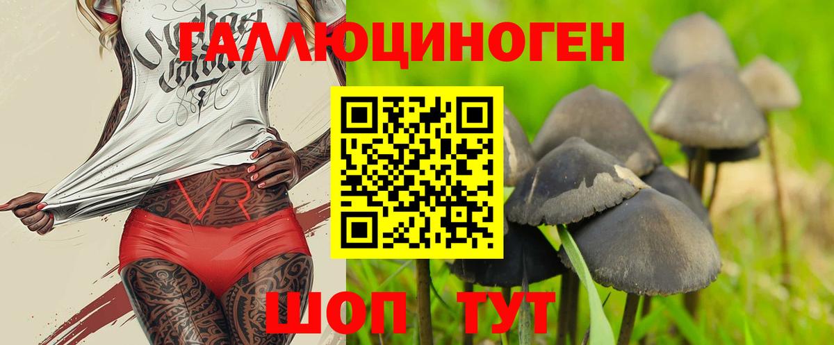 Псилоцибиновые грибы Psilocybine cubensis Ишим