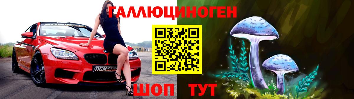 Ишим  как найти   Галлюциногенные грибы мухоморы  Вход с VPN  Псилоцибиновые грибы Magic Shrooms 